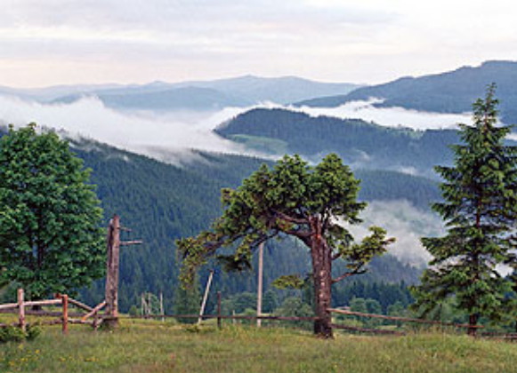 Image - Hutsulshchyna National Nature Park landscape.